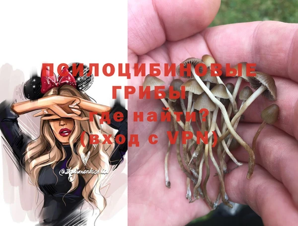 соль курить ск Гусь-Хрустальный