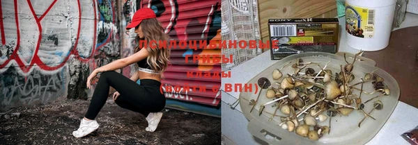 соль курить ск Гусь-Хрустальный