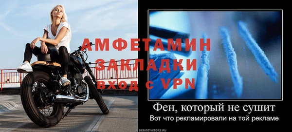 шишки Заречный
