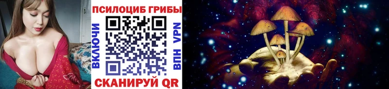 Галлюциногенные грибы мухоморы Дудинка